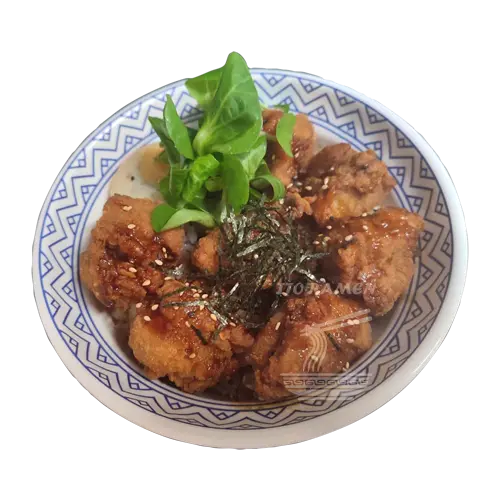 Photo Donburi Oyakodon