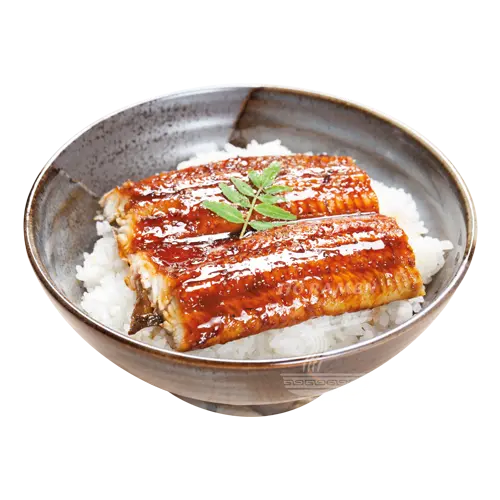 Photo Donburi Unadon
