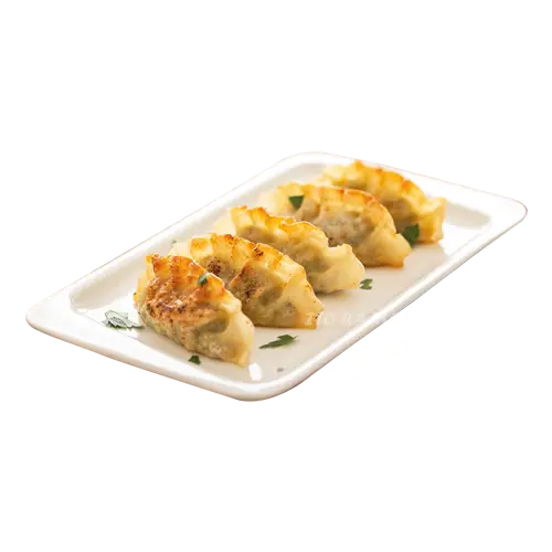 Photo Gyoza Poulet