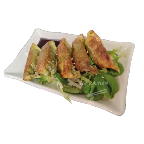 Photo Gyoza VÃ©gÃ©