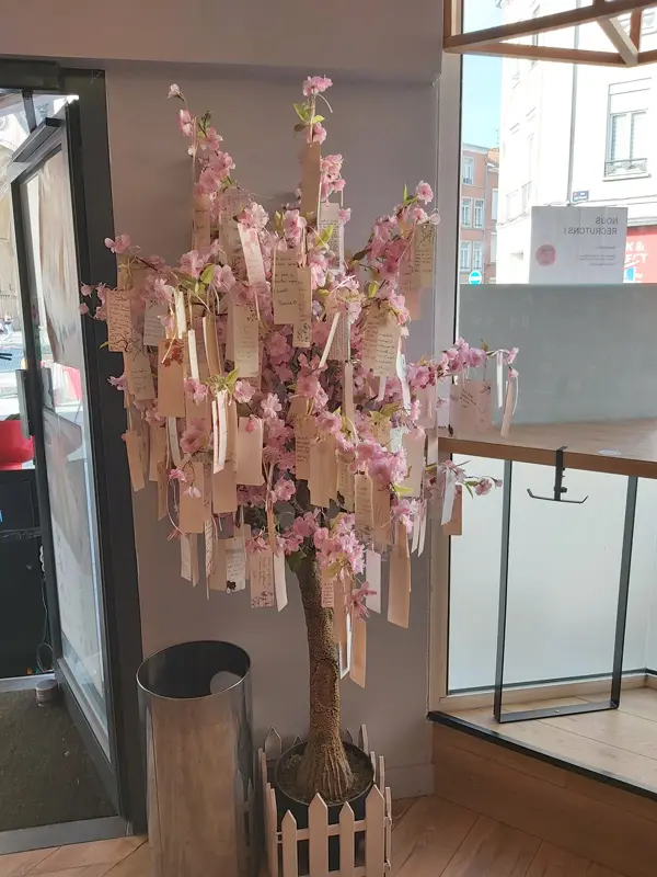 Photo Arbre à voeux